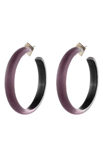 Alexis Bittar Retro Gold Collection Large Lucite Hoop Earrings In Black Cherry