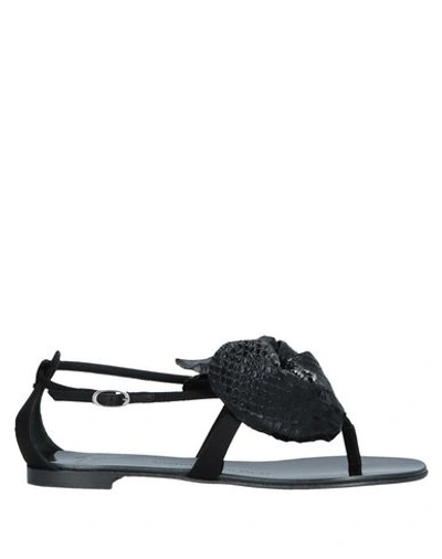 Giuseppe Zanotti Flip Flops In Black