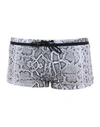 Roberto Cavalli Beachwear Swim Trunks In Light Grey