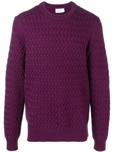 Calvin Klein Gestricktes Sweatshirt In Purple