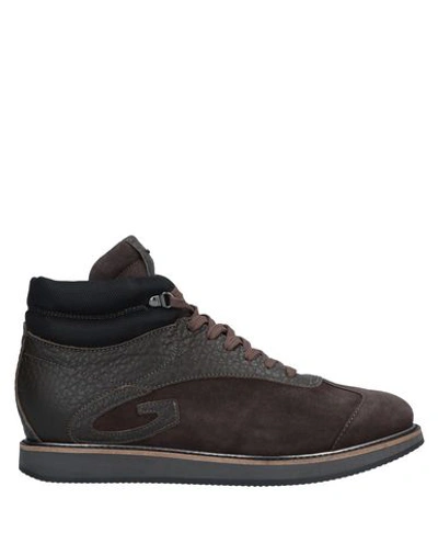 Alberto Guardiani Sneakers In Dark Brown
