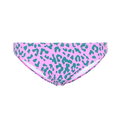 Diane Von Furstenberg Leopard-print Bikini Bottoms In Purple