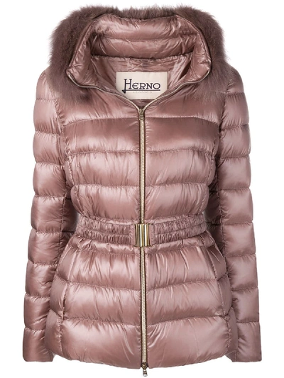 Herno Fur Trimmed Puffer Jacket - Pink In Pink