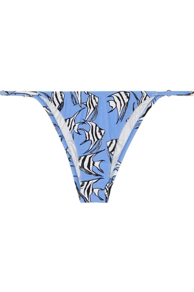 Fisch Cayes Printed Bikini Briefs In Light Blue