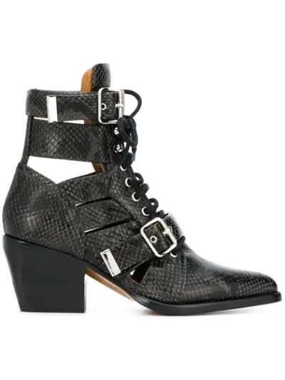Chloé Rylee Cutout Snake-effect Leather Ankle Boots In Black