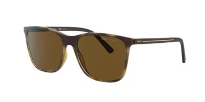 Polo Ralph Lauren Sunglasses, Ph4143 57 In Polar Brown