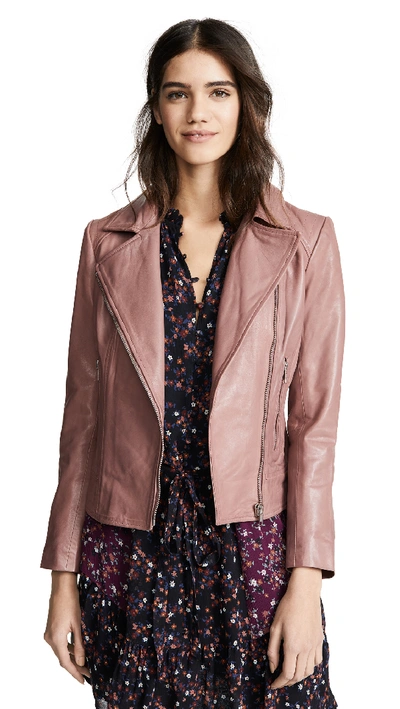 Bb dakota wild clearance ride leather moto jacket