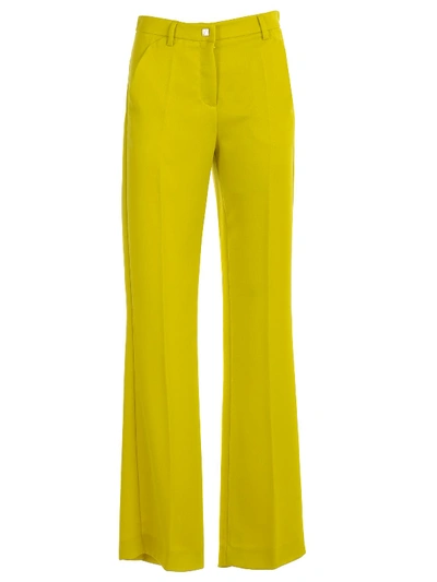 Versace Straight Leg Trousers In Lime
