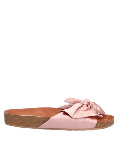 Bibi Lou Sandals In Pink