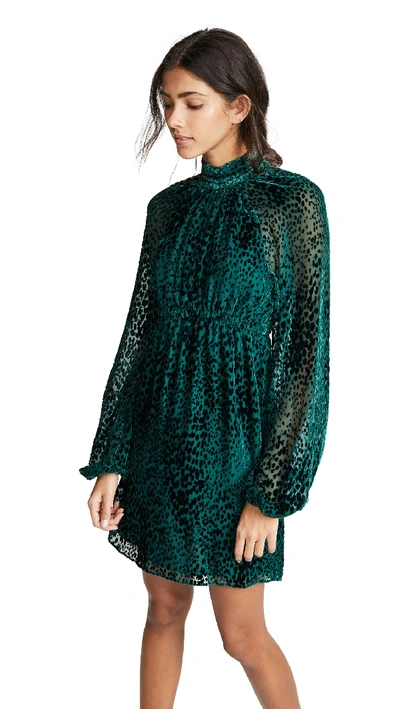 A.l.c Nadia Animal-print Velvet Burnout Dress In Evergreen