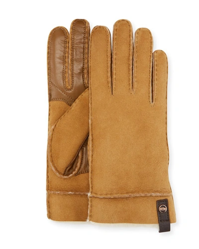 Ugg Tenney Suede & Leather Gloves W/ Shearling Lining In Chestnut