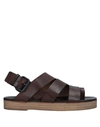 Marsèll Flip Flops In Dark Brown