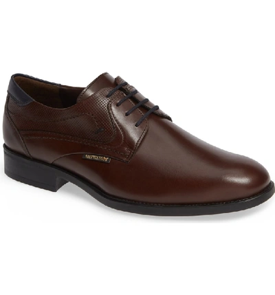 Mephisto Cirus Plain Toe Derby In Dark Brown/ Navy Leather