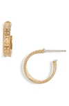 Anna Beck Small Hoop Earrings (nordstrom Exclusive) In Gold