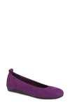 Arche 'laius' Flat In Purple Nubuck