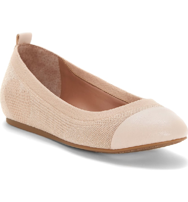 ellen degeneres flats