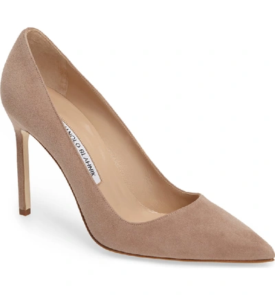 Manolo Blahnik 'bb' Pointy Toe Pump In Taupe Suede