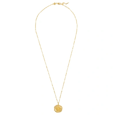 Missoma Large Desert Rose 18kt Gold Vermeil Necklace