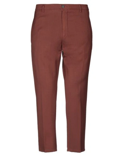 Be Able Pants In Brown