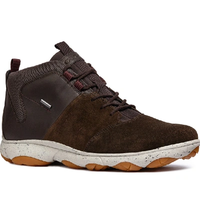 Geox Nebula 4x4 Amphibiox Waterproof Sneaker In Dark Coffee | ModeSens