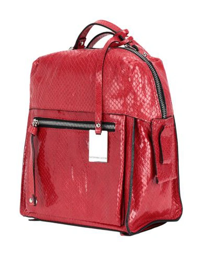 Caterina Lucchi Backpack & Fanny Pack In Red