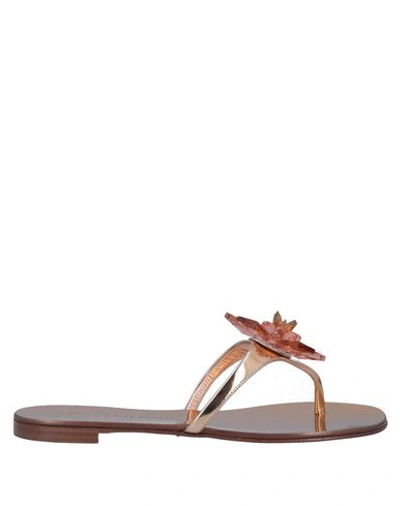 Giuseppe Zanotti Flip Flops In Gold