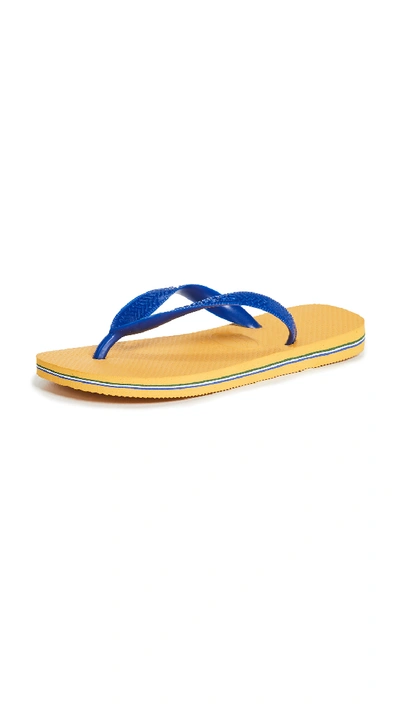 Havaianas Brazil Flip Flops In Banana Yellow