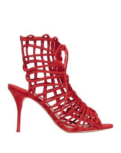 Sophia Webster Sandals In Red