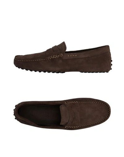 Tod's Loafers In Dark Brown