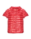 Herno Down Jacket In Red