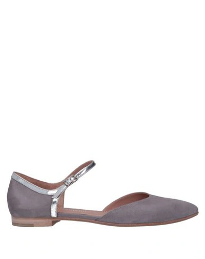 Antonio Barbato Ballet Flats In Grey