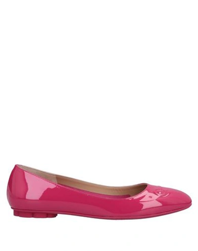 Ferragamo Ballet Flats In Fuchsia