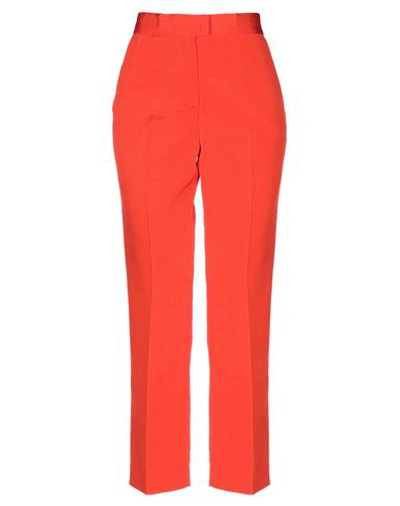 Msgm Pants In Orange