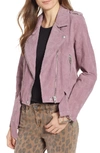 Blanknyc Suede Moto Jacket In Lilac