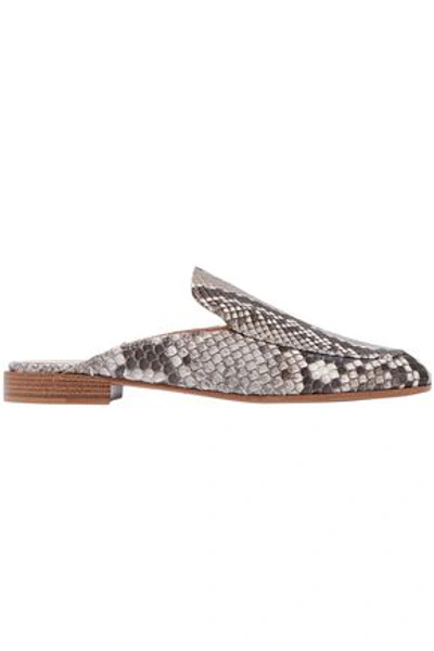 Gianvito Rossi Woman Python Slippers Animal Print