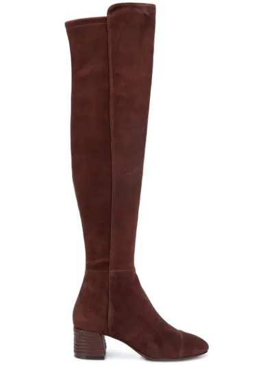 Tory Burch Nina Over The Knee Boot In Perfect Brown