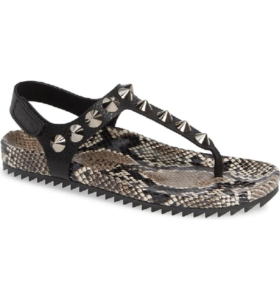 Pedro Garcia Athena Studded Thong Sandals In Black Snakeskin