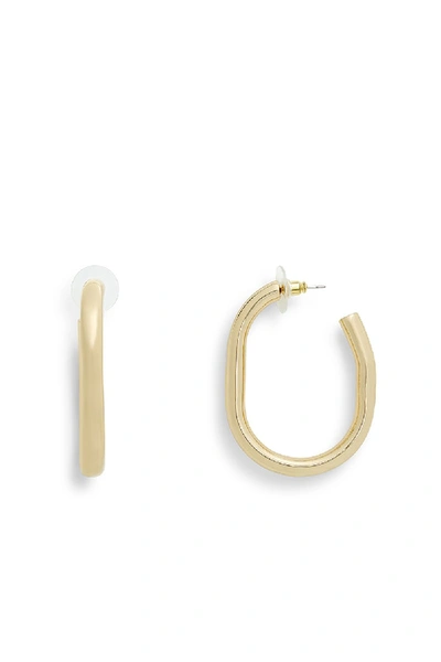 Rebecca Minkoff Chunky Tubular Hoop Earrings In Gold