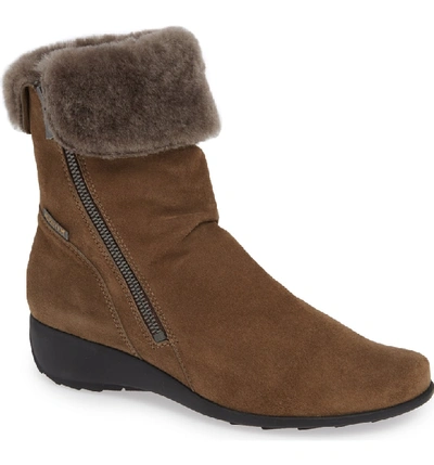 Mephisto seddy best sale winter
