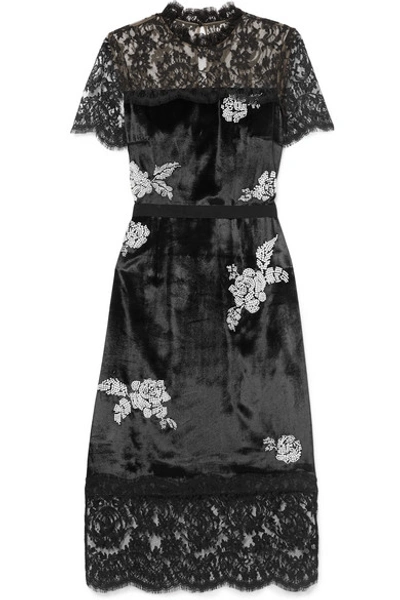 Erdem Keni Lace-paneled Silk-faille Trimmed Faux Pearl-embellished Velvet Dress In Blk-wht