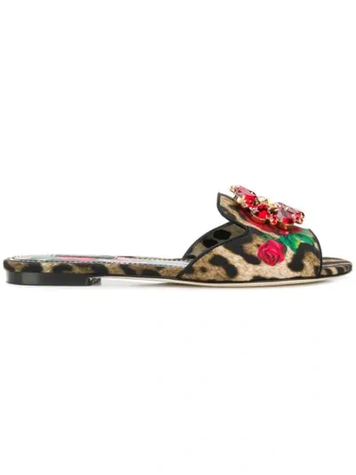 Dolce & Gabbana Crystal-embellished Leopard And Floral-print Canvas Slides In Brown