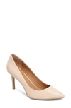 Calvin Klein 'gayle' Pointy Toe Pump In Sheer Satin Patent