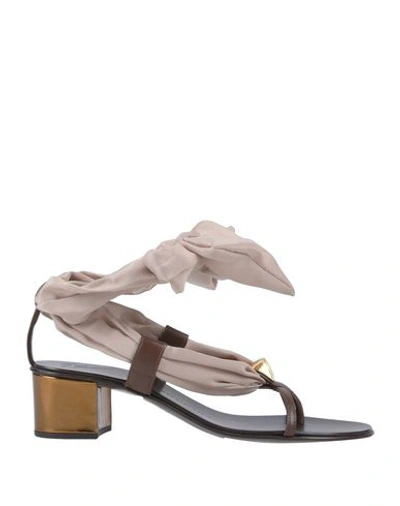 Giuseppe Zanotti Flip Flops In Dove Grey