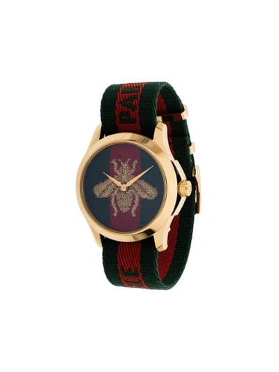 Gucci Striped Bee Watch In Green