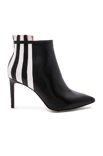 Rachel Zoe Taylor Stripe Ankle Boots In Black & White