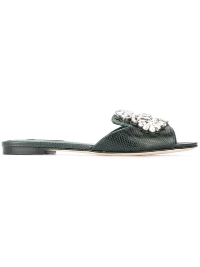 Dolce & Gabbana Embellished Mules In Green
