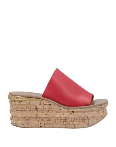 Chloé Mules & Clogs In Red