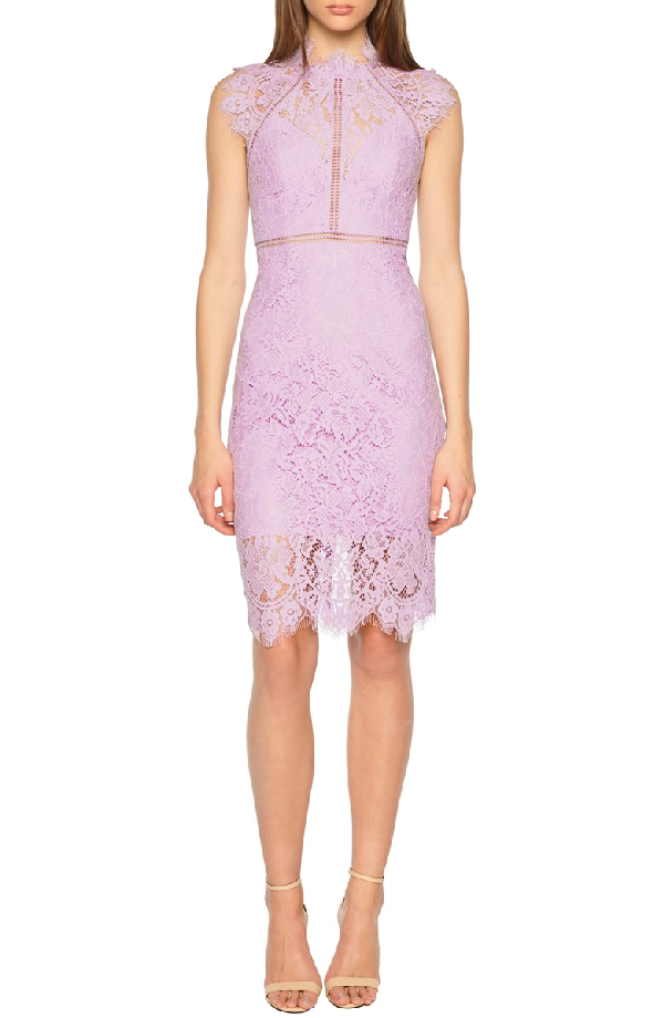 bardot lace sheath dress orchid