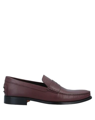 Tod's Loafers In Dark Brown