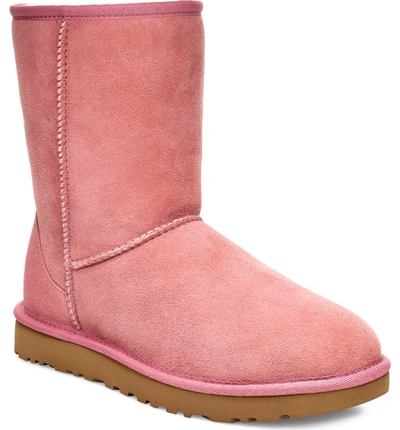 Ugg Classic Ii Genuine Shearling Lined Short Boot In Pink Dawn Suede